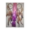 Pink-Purple Braids