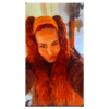 Bronze Brown Ponytail